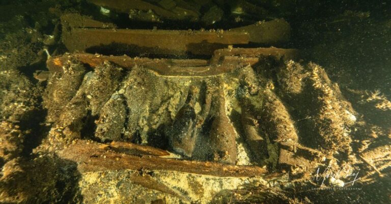 19th-Century-Champagne-Found-On-Swedish-Shipwreck-Declared-Off-Limits.jpg