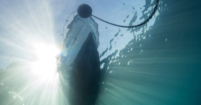 IMO-Explores-Methods-To-Reduce-Underwater-Radiated-Noise-From-Ships.jpg