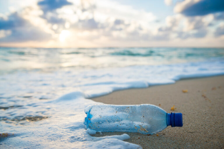 shutterstock_1305229783.jpg