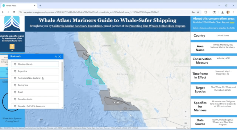 An Easy-to-Use Mapping Tool for Whale-Safer Global Navigation