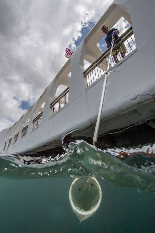 Oil Leaking From USS Arizona Could Provide Guidance For