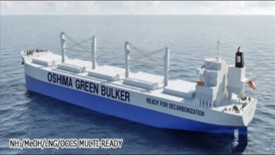 An innovative Oshima alternative fuel-ready bulk carrier with OCCS technology.