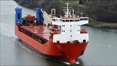 The Russian cargo ship Adler sailing on open water.