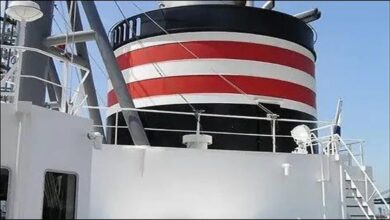 Ammonia carrier ship sailing on the water, key to low-carbon marine transport.