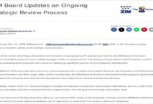 A large ZIM Integrated Shipping container vessel loaded with cargo on the open sea.