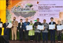 Large industrial facility with complex piping, representing biomass pyrolysis technology.