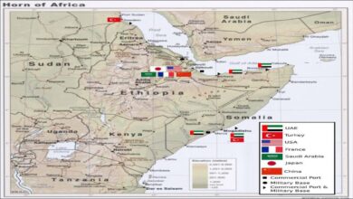 Strategic map of the Bab el-Mandeb Strait and Horn of Africa region.