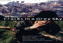 An Eastern Pacific Shipping LNG carrier vessel sails on the ocean.