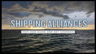 Several large container ships sail on the ocean, representing global shipping alliances.