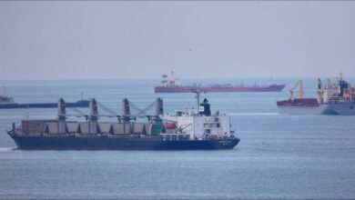 A large dry bulk cargo vessel sailing on the open sea.