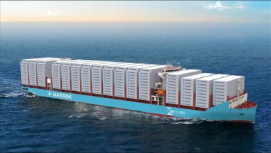 A large Maersk container ship represents the company's global shipping and sustainability initiatives.