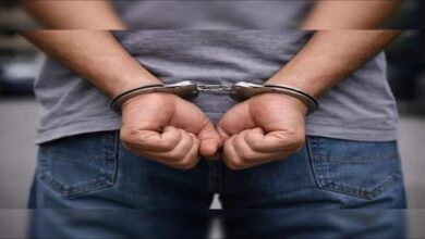 Seized cocaine bricks from the Nigerian maritime drug bust.