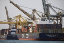 Container ships and cranes operate at a busy global port, symbolizing shipping infrastructure growth.