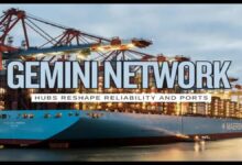 Container ships representing the Maersk and Hapag-Lloyd Gemini Alliance.