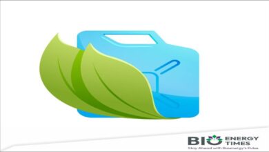 Clear biofuel derived from cashew waste in a laboratory beaker.