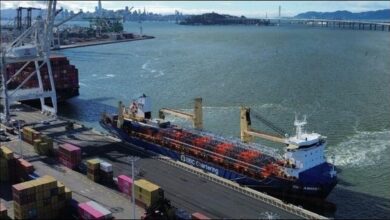 New European container cranes stand tall at the Port of Oakland.