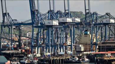 Container ships and cranes at a bustling port in Panama.