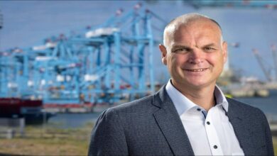 Artist's impression of the modern Rijeka Gateway container terminal with ships and cranes.