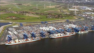 Large container ships and cranes at a busy port terminal, illustrating the Maersk and Eurogate expansion.