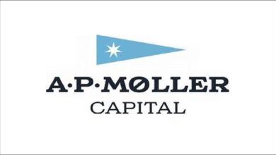 A bustling container port with large cranes and ships, representing Moroccan logistics.