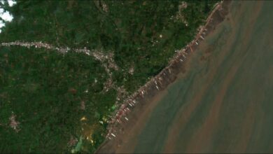 Multiple ships being dismantled at India's Alang shipbreaking yard.