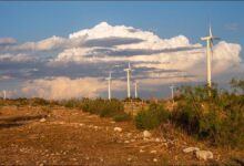 A modern cargo ship sailing on the ocean, symbolizing green e-methanol fuel for sustainable shipping.