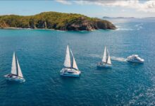 A fleet of The Moorings catamarans docked in a sunny, tropical bay.