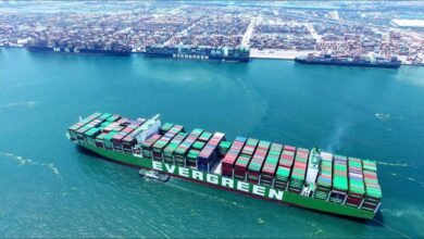 Busy container ships are loaded by cranes at a bustling global trade port.
