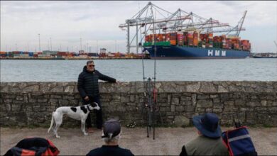 Container ships are loaded by cranes at a busy commercial port.