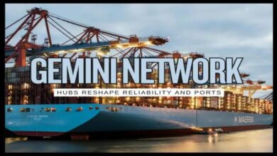 Maersk container ship representing the global Gemini Cooperation network.