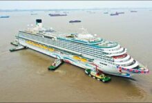The large Chinese-built Adora Flower City cruise ship floats in a dry dock.