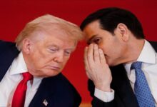 Former US President Donald Trump represents US opposition to the IMO's global climate deal.