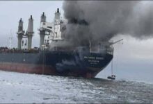 The abandoned Thai bulker Mayuree Naree grounded off Qeshm Island, Iran.