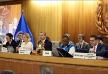 International Maritime Organization (IMO) logo symbolizing global shipping regulation.