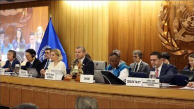 International Maritime Organization (IMO) logo symbolizing global shipping regulation.