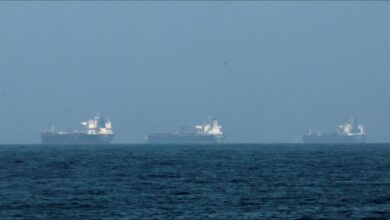 A container ship and a warship navigate a busy Gulf maritime trade route.