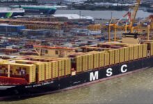 An MSC container ship docked at a large port terminal, symbolizing maritime commerce.