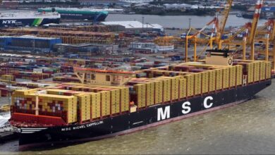 An MSC container ship docked at a large port terminal, symbolizing maritime commerce.