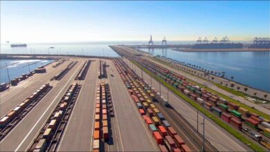 Container ships and cranes operate at a bustling European port terminal.