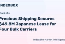 Large dry bulk cargo ship sailing on the ocean.