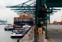 Shipping containers stacked high at a busy port terminal.