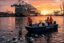 A large container ship, likely from DP World, sails on the open ocean.