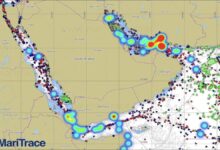 SINAY logo with a global map and interconnected lines symbolizing maritime intelligence.