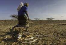 Families and goats stand in a parched, arid landscape in the Horn of Africa.