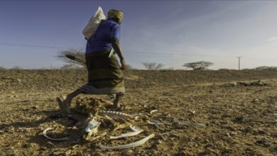 Families and goats stand in a parched, arid landscape in the Horn of Africa.