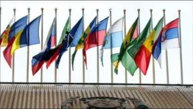 Numerous national flags fly against a blue sky, symbolizing IMO ship registration and maritime nations.