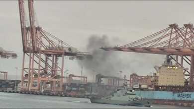 Container ships docked at the Port of Salalah with cranes operating.