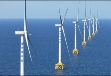 An extensive offshore wind farm featuring many turbines in the sea off China.