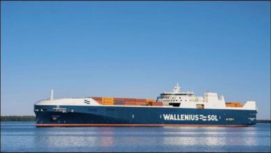 The Wallenius SOL company logo, highlighting sustainable logistics.