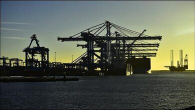Large cranes and containers at APMT terminal, Port of Rotterdam.